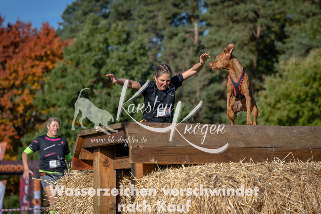 1026_ZZ90411 | kk-dogfotos