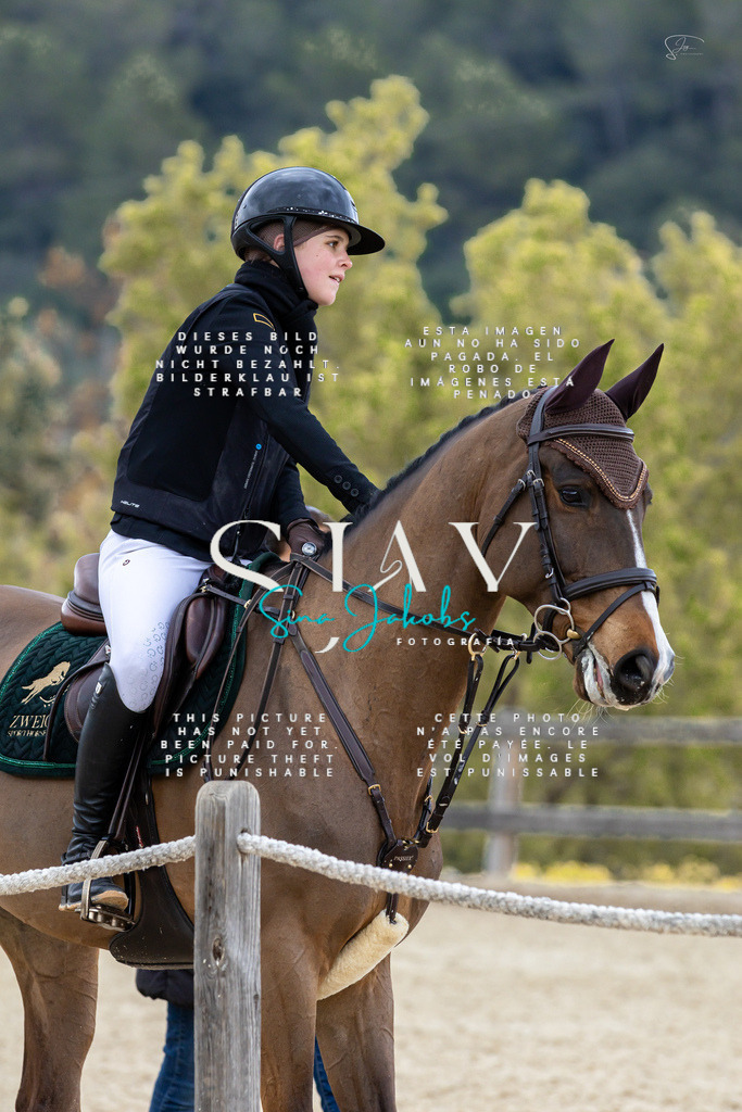 IMG_5181 | s-jay-photography - Realisiert mit Pictrs.com