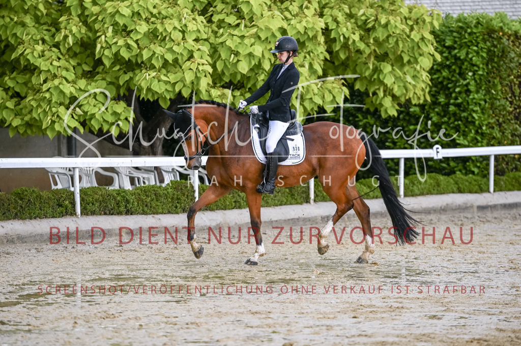 Schugtsche-Aluta25-55.Dressurreiterprf.L1Tr-275 | Schugtsche Fotografie - Realisiert mit Pictrs.com