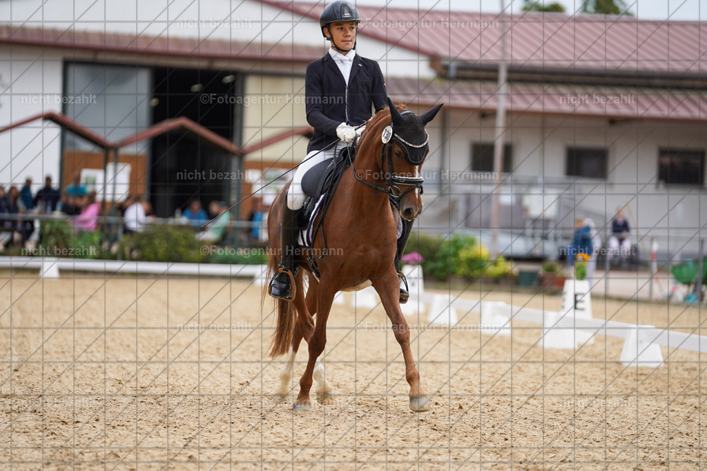 20240825-FAH09888 | Turnierbilder, Reitsportfotos, LAPO, Landesponyturnier, Turnierfotografen Bayern