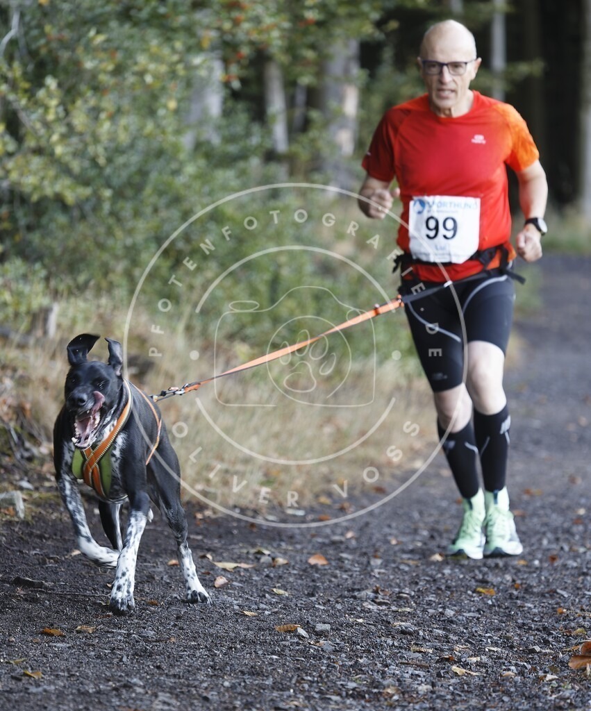 0L8A1719 | Hundefotografie, Tierfotograf, Pfotenfotografie, Fotoshooting Hund, Hunde Portrait, Hundesport, Hundeportraits, Heideshooting, Hunde, Sportfotograf, Hundefotograf, Turnierhundsport, THS,  - Realisiert mit Pictrs.com