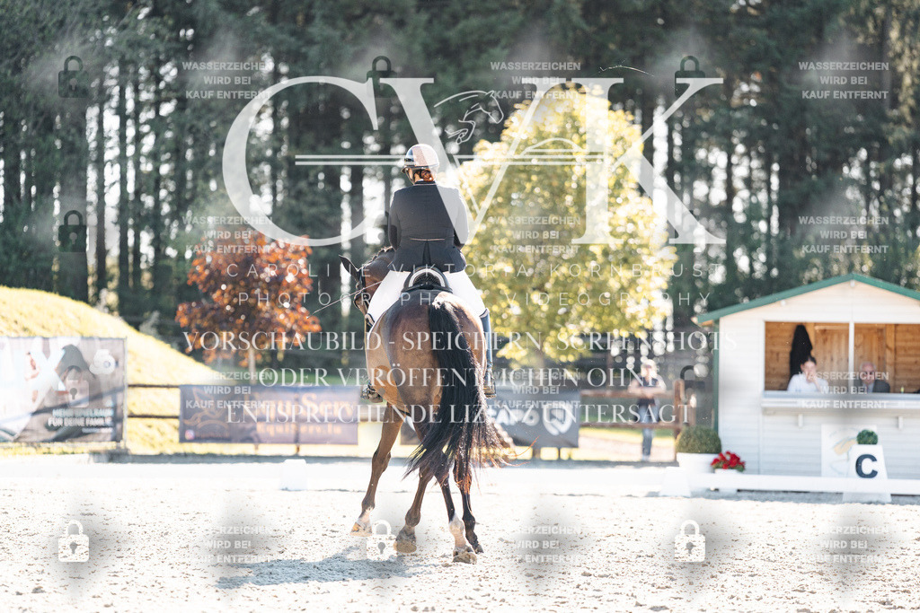 CK906144 | Turnierfotografie Pferdefotografie Trier Rheinland-Pfalz Pferdesport Reitsport Tierfotografie Sportfotografie Pferdevideo Pferdevideografie Equestrianvideography equestrianphotography  - Realisiert mit Pictrs.com