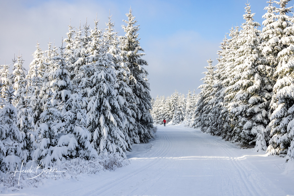 Februar | Bilder und Impressionen zu jeder Jahreszeit aus dem Sauerland im Naturpark Sauerland-Rothaargebirge - Realisiert mit Pictrs.com