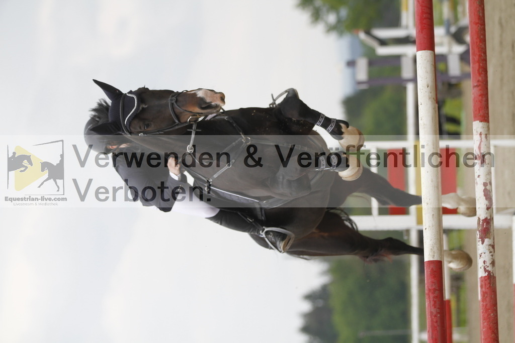 _MG_7929 | equestrian-live-com