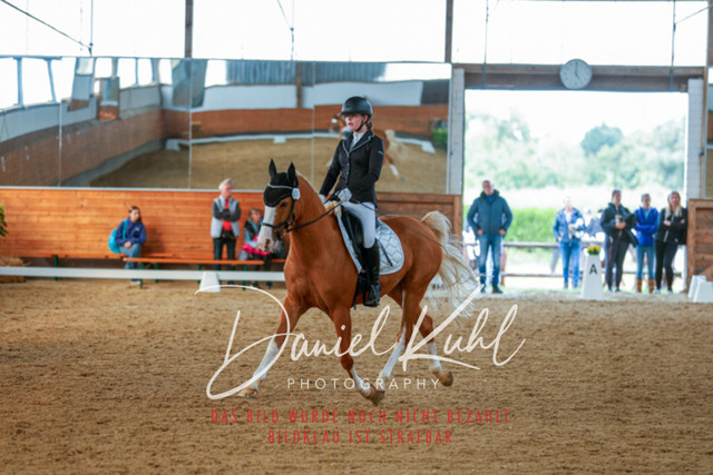 _62_5973 | Turniersportfotografie; Pferdefotografie; Dressurfotografie