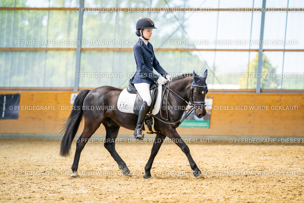 DSC08941 | Pferdegrafie