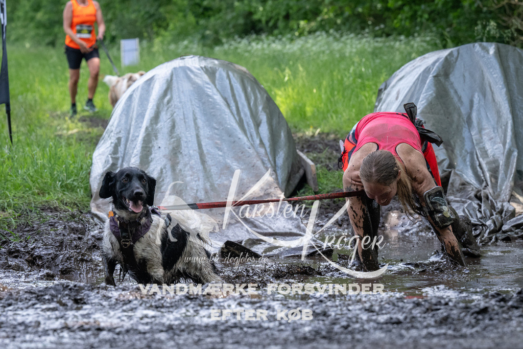 1340_ZZ91909 | kk-dogfotos