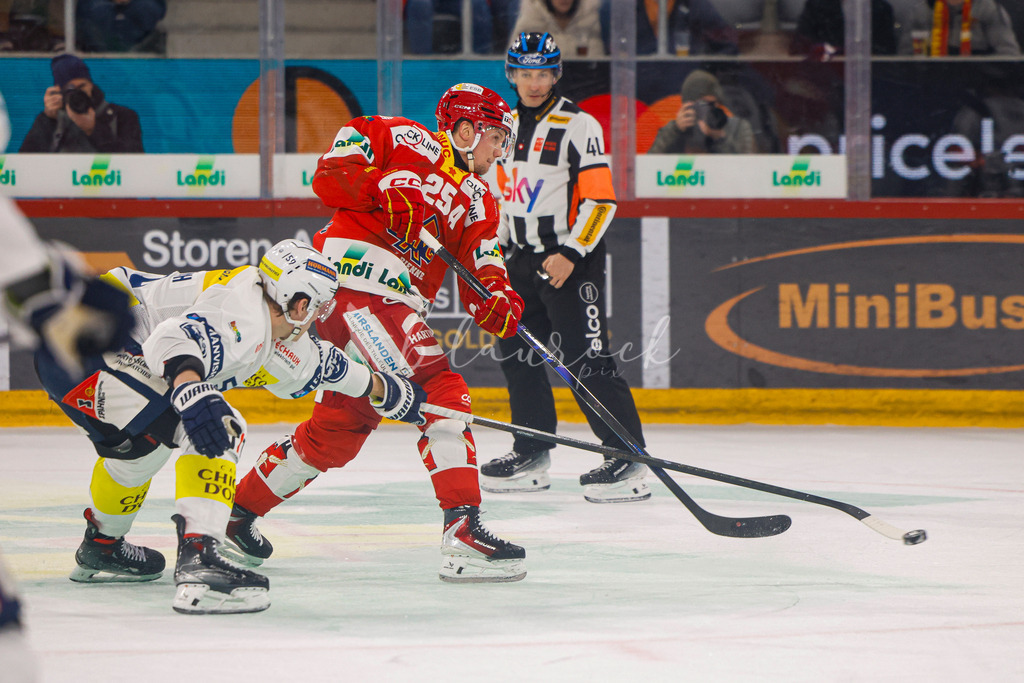 EHCB vs HCAP 20260115_wb-4563 | Sportbilder, Sportfotograf, Hochzeits- und Eventfotografin, Flugshows, Portraits und Tiershooting, Aviation, Downhill, Nationalleague, Swissleague, International