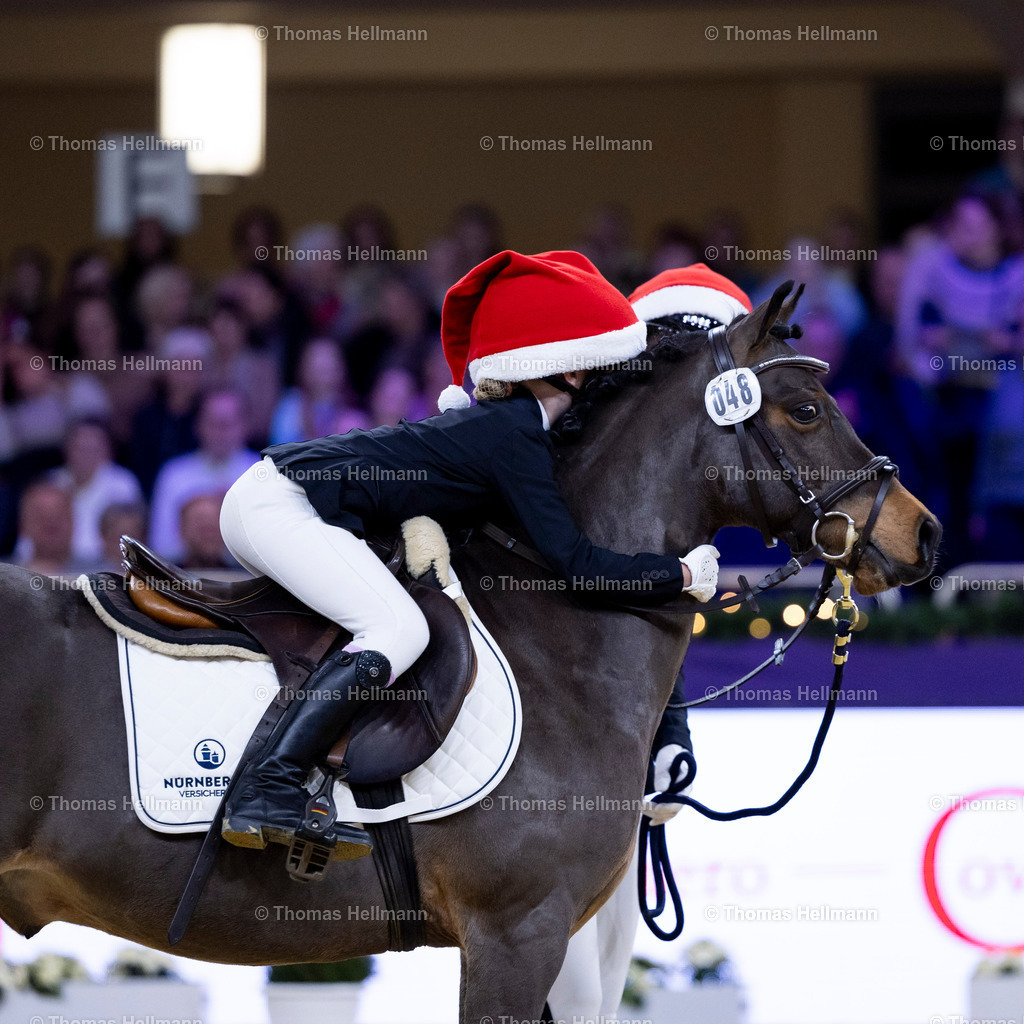 TH_48 Bruno_ Carlotta Siemer_23679 | 48 Bruno, Carlotta Siemer beim Festhallen Reitturnier Frankfurt 2024 am 21.12.24 in Frankfurt, Festhalle