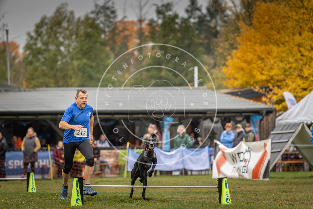 Pfotenfotografie_DV3A1908 | Hundefotografie, Tierfotograf, Pfotenfotografie, Fotoshooting Hund, Hunde Portrait, Hundesport, Hundeportraits, Heideshooting, Hunde, Sportfotograf, Hundefotograf, Turnierhundsport, THS,  - Realisiert mit Pictrs.com