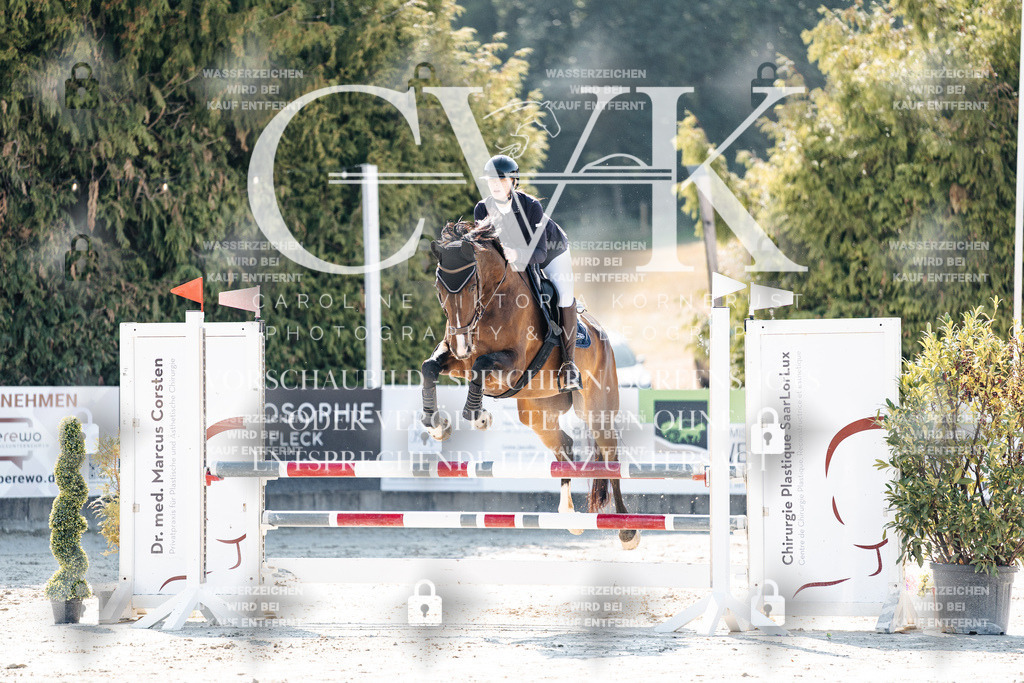 CK907800 | Turnierfotografie Pferdefotografie Trier Rheinland-Pfalz Pferdesport Reitsport Tierfotografie Sportfotografie Pferdevideo Pferdevideografie Equestrianvideography equestrianphotography  - Realisiert mit Pictrs.com