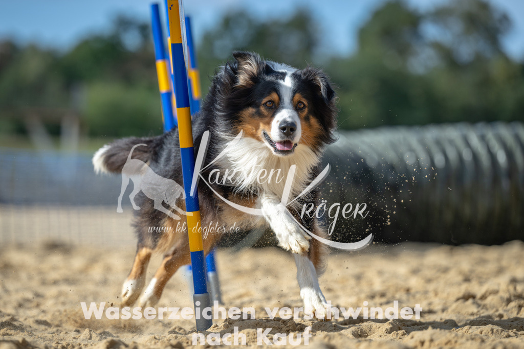 1432_ZZ91534 | kk-dogfotos