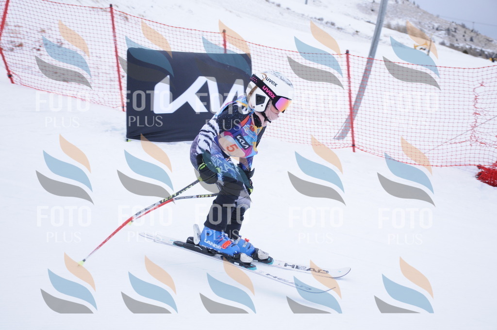 DSC_7581 | holidayphoto