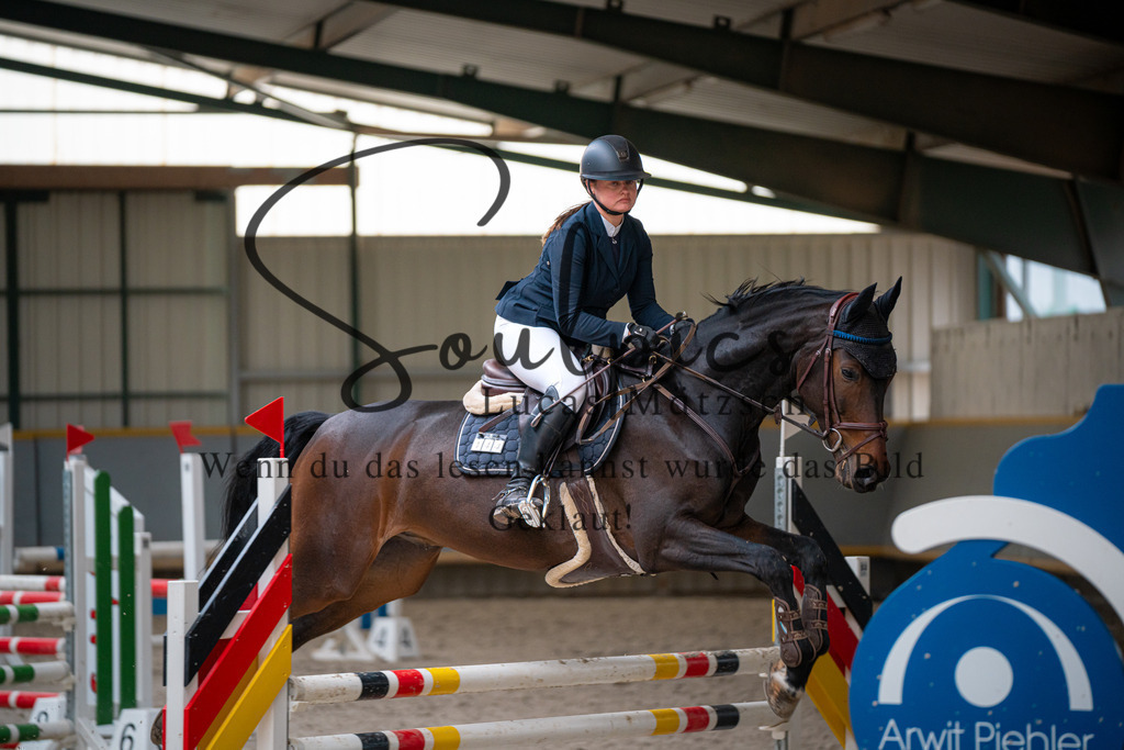 A7V07103 | Pferdefotograf