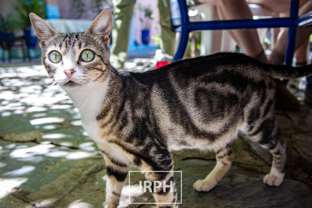 IMG_8901 | jrph - Realisiert mit Pictrs.com