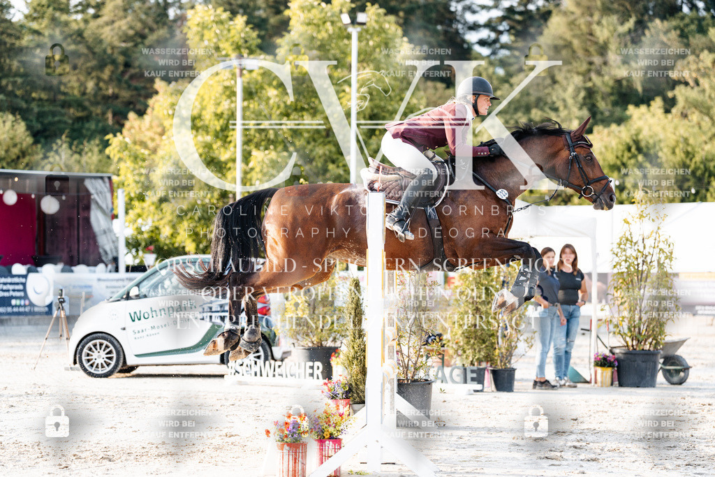 CK903553 | Turnierfotografie Pferdefotografie Trier Rheinland-Pfalz Pferdesport Reitsport Tierfotografie Sportfotografie Pferdevideo Pferdevideografie Equestrianvideography equestrianphotography  - Realisiert mit Pictrs.com