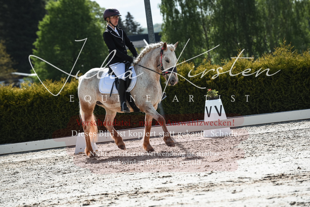 20230518_JK-Röhrsdorf-09-1580 | Pferde- und Turnierfotografie in Westsachsen. Pferdeportraits, Auftragszeichnungen und intuitive Kunst.