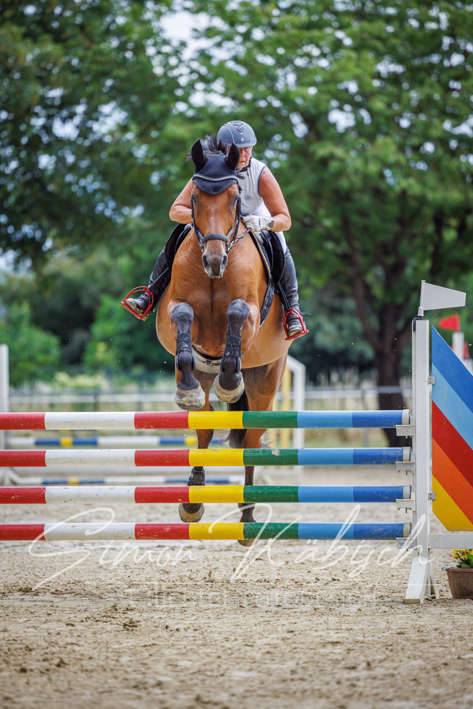 20260705-_3LI5824 | Tierfotografie Pferde, Hunde, Katzen, Haustiere.
Turnierfotografie Reitturniere, Reiten, Springreiten, Dressur in Hanau, dem Main-Kinzig-Kreis und dem Rhein-Main- Gebiet um Frankfurt