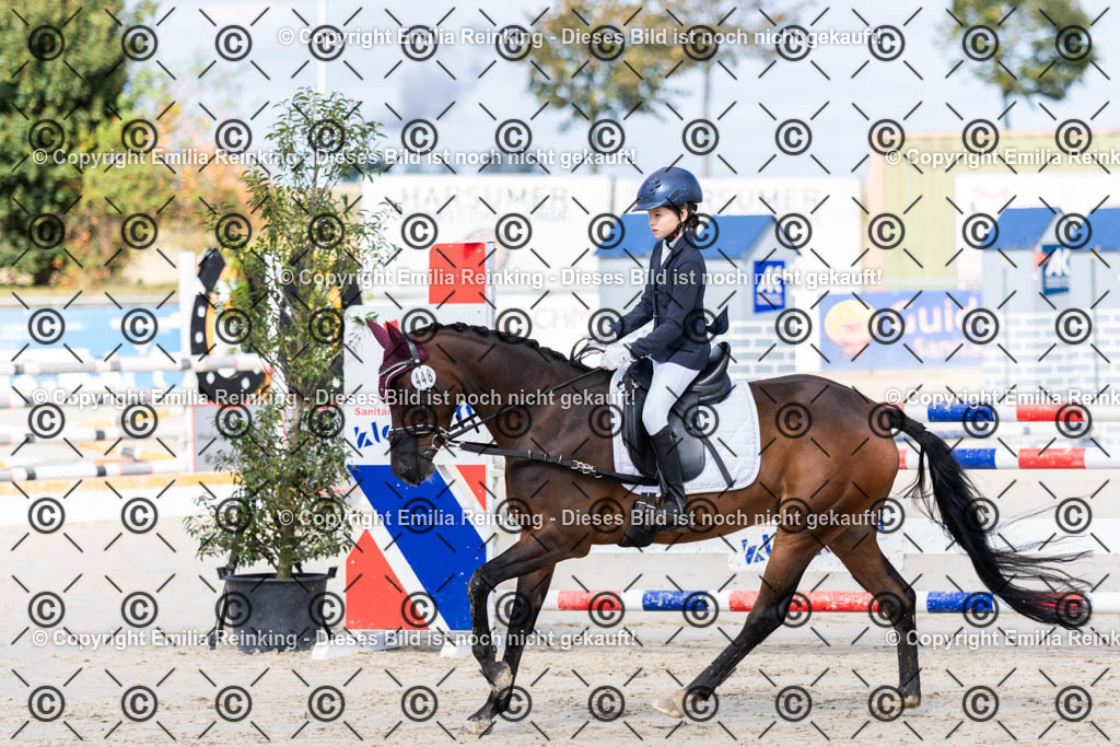 CL5A1940 | Emilia Reinking Fotografie - Realisiert mit Pictrs.com