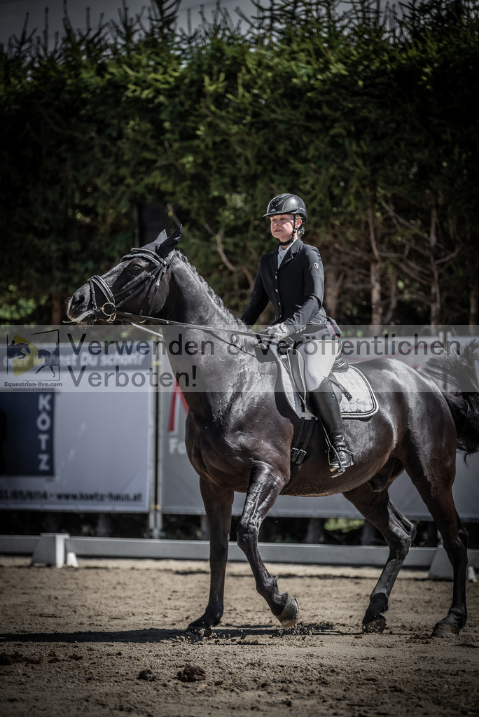 DSC_0208 | equestrian-live-com