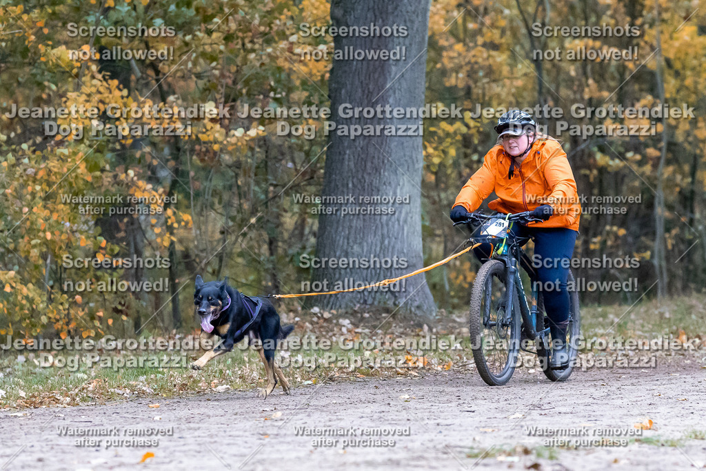 Dog Paparazzi - SD CaniX Championship 2025-271 | Dog Paparazzi Jeanette Grottendiek Fotografie & Videografie - Realisiert mit Pictrs.com