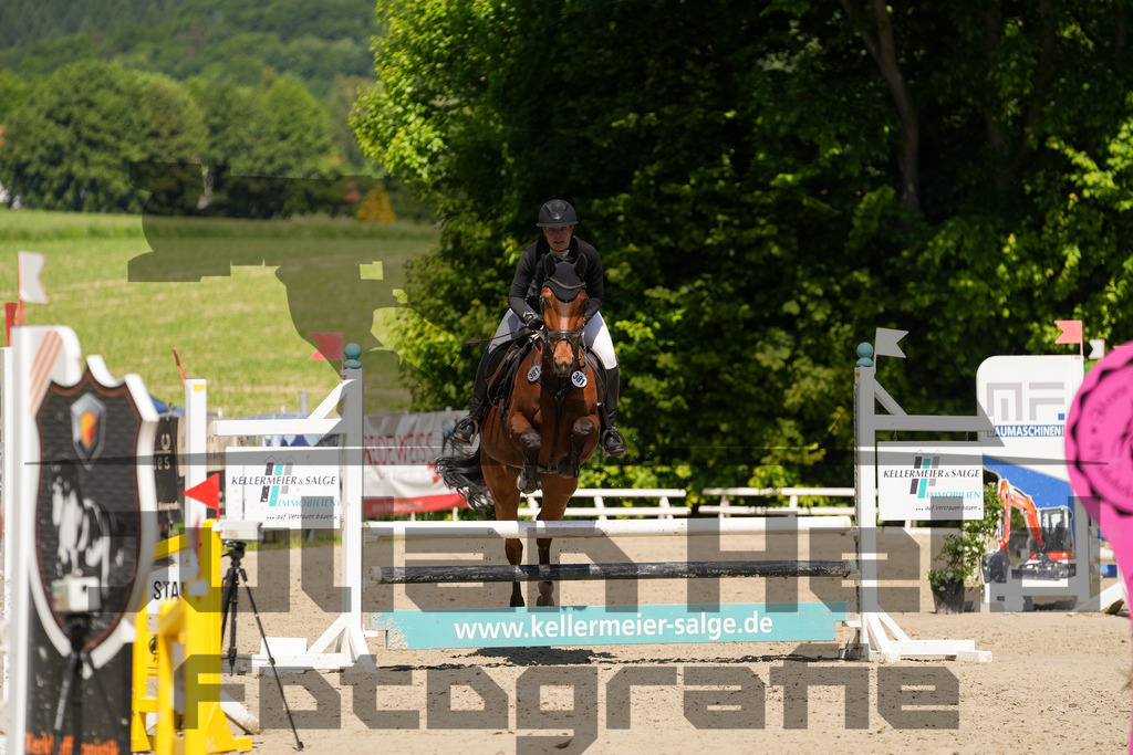 DSC02283 | Julian Held Fotografie - Realisiert mit Pictrs.com