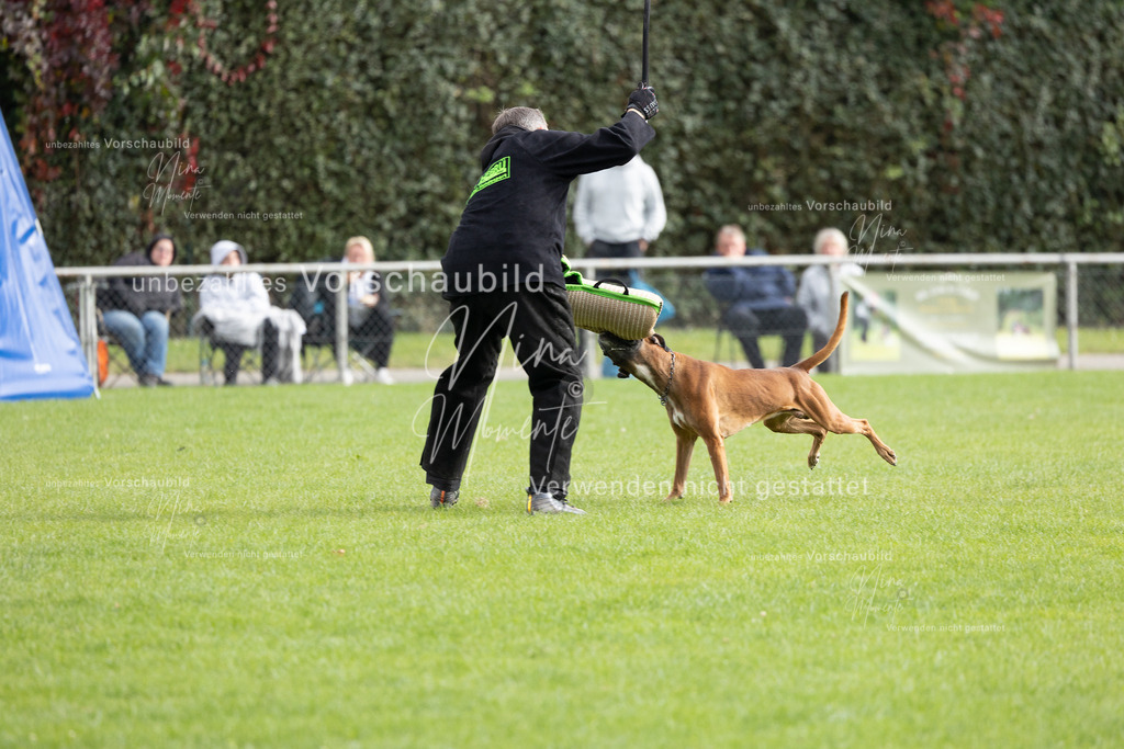 _16A7059 | Einzigartige Fotos von Hunden & Menschen –Actionfotos, Portraits, Vereinsaufnahmen & Paarshootings – authentisch, lebendig & mit Herz.