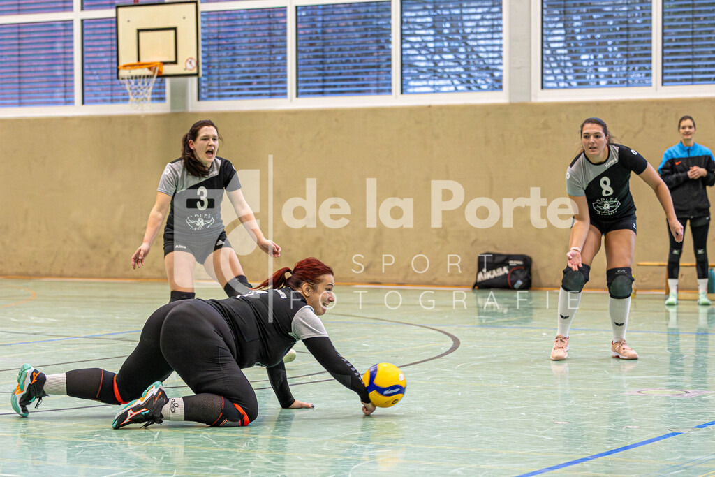 Heide Volleys Erste Frauen - Alpers_ Denise vs SG Aligse 131225 dlP | immodelaporte-sportfotos - Realisiert mit Pictrs.com