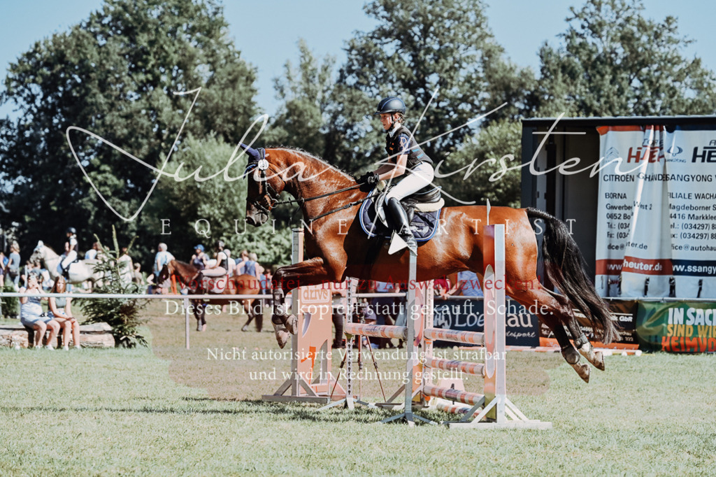 DSC_6599 | Pferde- und Turnierfotografie in Westsachsen. Pferdeportraits, Auftragszeichnungen und intuitive Kunst.