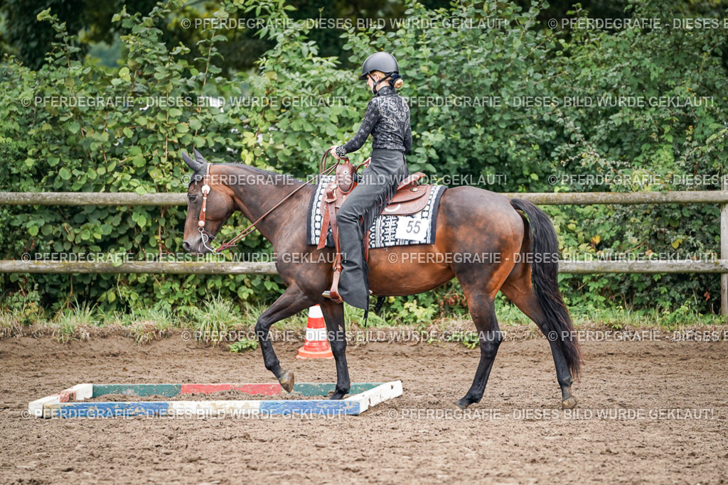 DSC03148 | Pferdegrafie