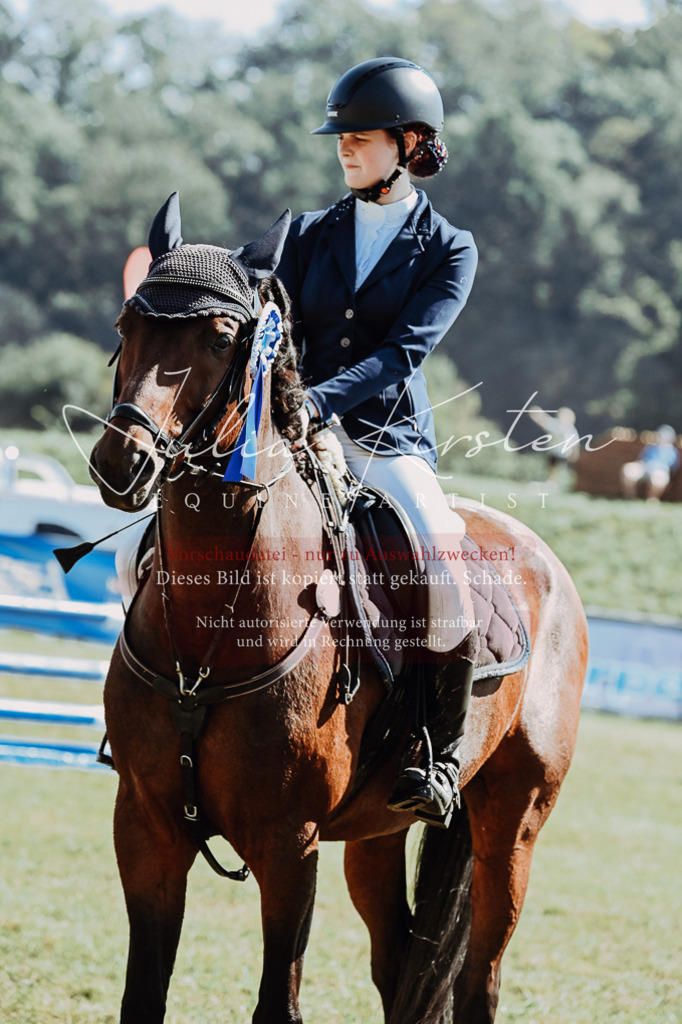 DSC_6211 | Pferde- und Turnierfotografie in Westsachsen. Pferdeportraits, Auftragszeichnungen und intuitive Kunst.