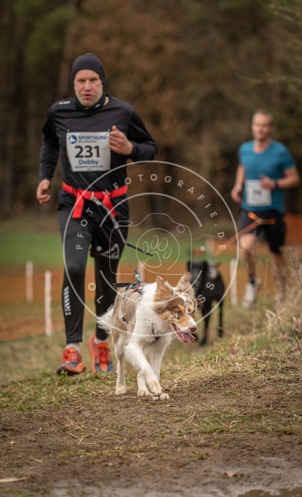 DV3A3081 | Hundefotografie, Tierfotograf, Pfotenfotografie, Fotoshooting Hund, Hunde Portrait, Hundesport, Hundeportraits, Heideshooting, Hunde, Sportfotograf, Hundefotograf, Turnierhundsport, THS,  - Realisiert mit Pictrs.com