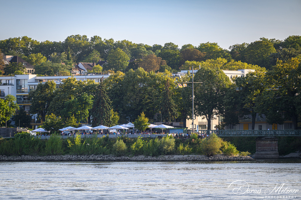 Mainz am Rhein aus Mainz-Kastel  | Bilder aus Mainz-Kastel