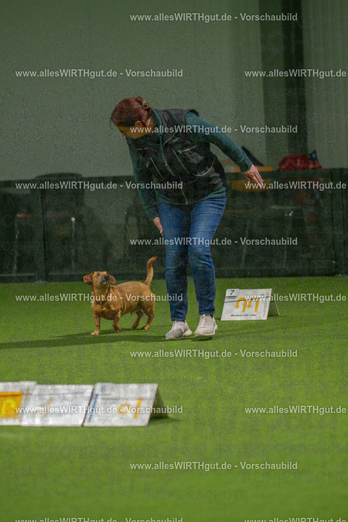 7R508629 | Professionelle Tierfotografie in Mönchengladbach von Daniel Wirth (allesWIRTHgut). Liebevolle & natürliche Bilder von Hunden & Katzen für unvergessliche Erinnerungen.