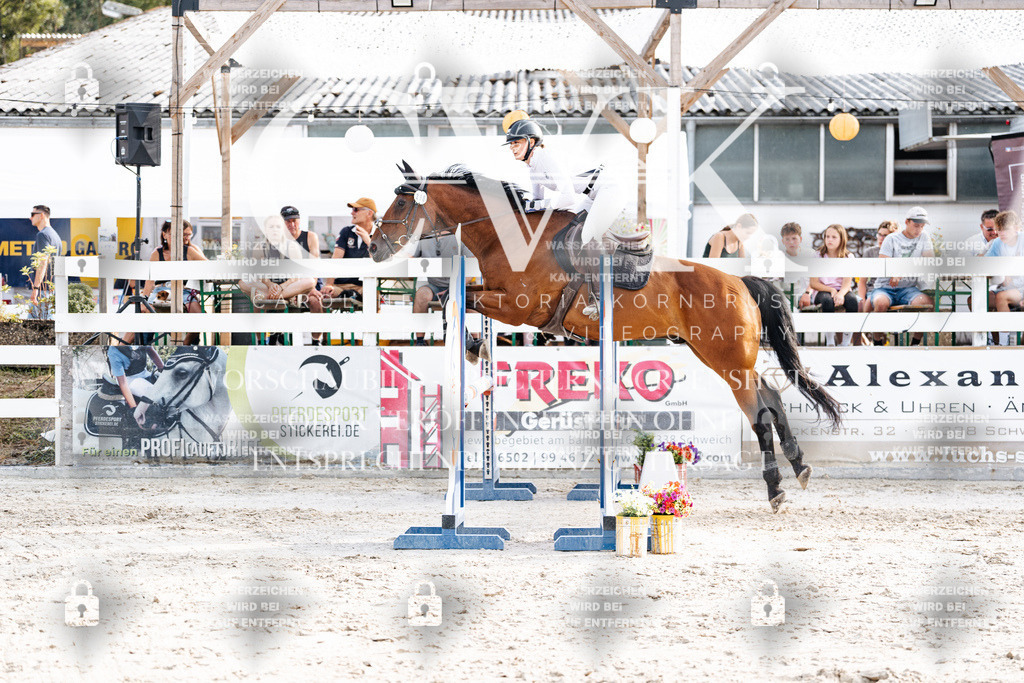 CK906653 | Turnierfotografie Pferdefotografie Trier Rheinland-Pfalz Pferdesport Reitsport Tierfotografie Sportfotografie Pferdevideo Pferdevideografie Equestrianvideography equestrianphotography  - Realisiert mit Pictrs.com