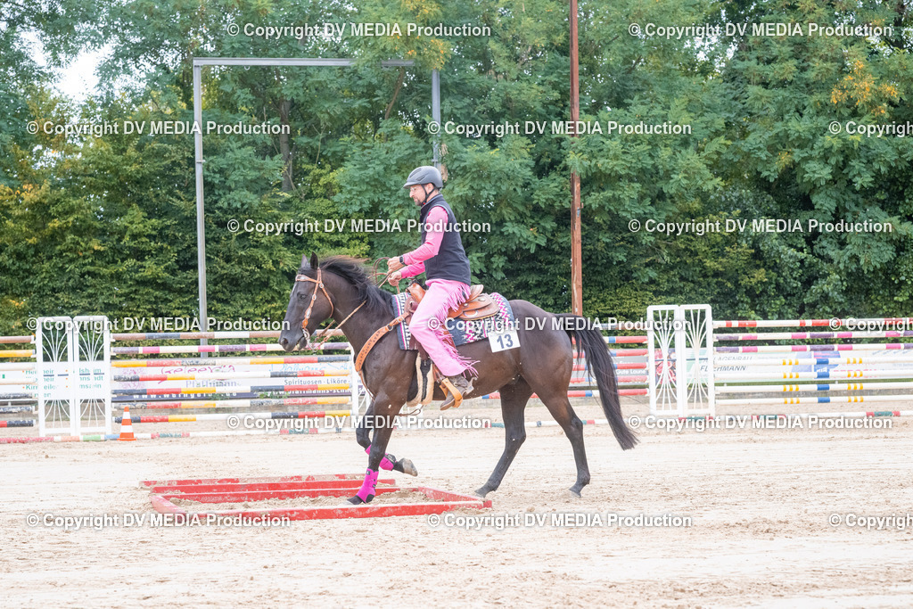 ZS3_5609 | dv-media-shop - Realisiert mit Pictrs.com