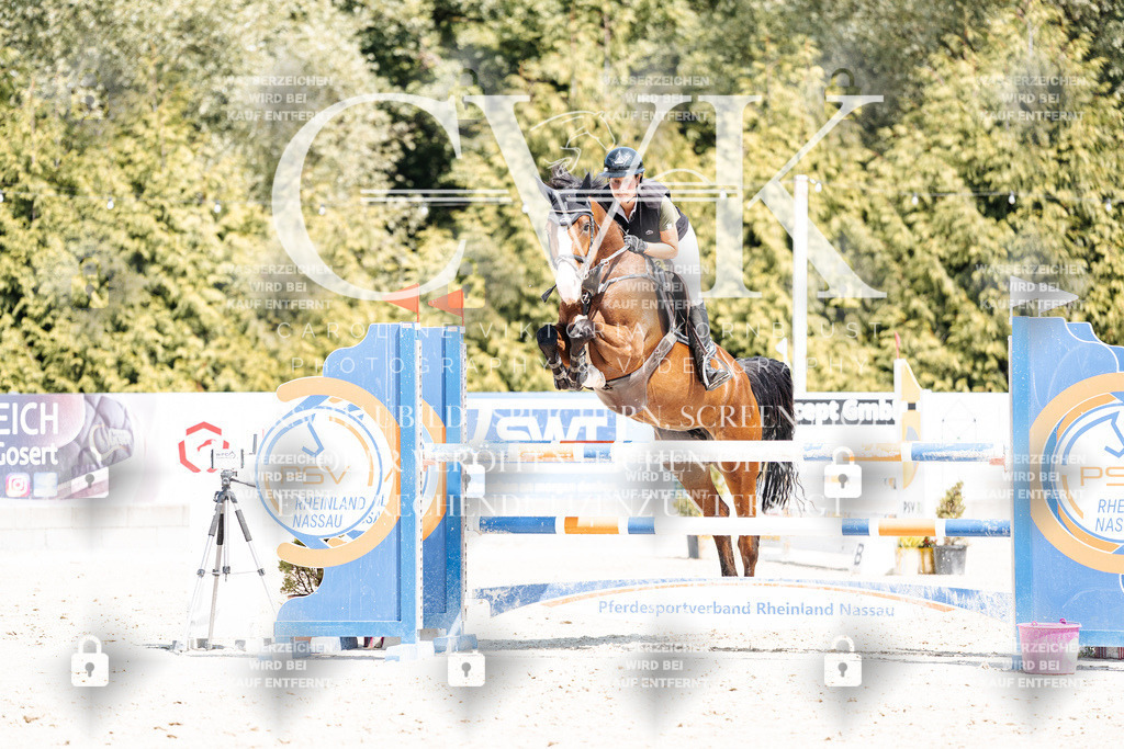 CK900915 | Turnierfotografie Pferdefotografie Trier Rheinland-Pfalz Pferdesport Reitsport Tierfotografie Sportfotografie Pferdevideo Pferdevideografie Equestrianvideography equestrianphotography  - Realisiert mit Pictrs.com