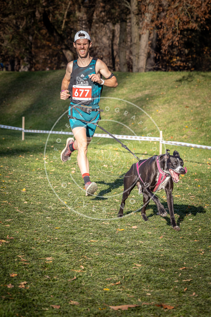 CaniXpix_0L8A9206 | Hundefotografie, Tierfotograf, Pfotenfotografie, Fotoshooting Hund, Hunde Portrait, Hundesport, Hundeportraits, Heideshooting, Hunde, Sportfotograf, Hundefotograf, Turnierhundsport, THS,  - Realisiert mit Pictrs.com