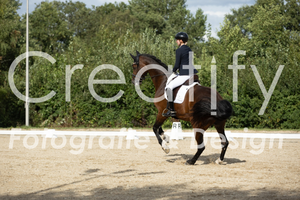 IMG_7050 | Creatify Fotografie