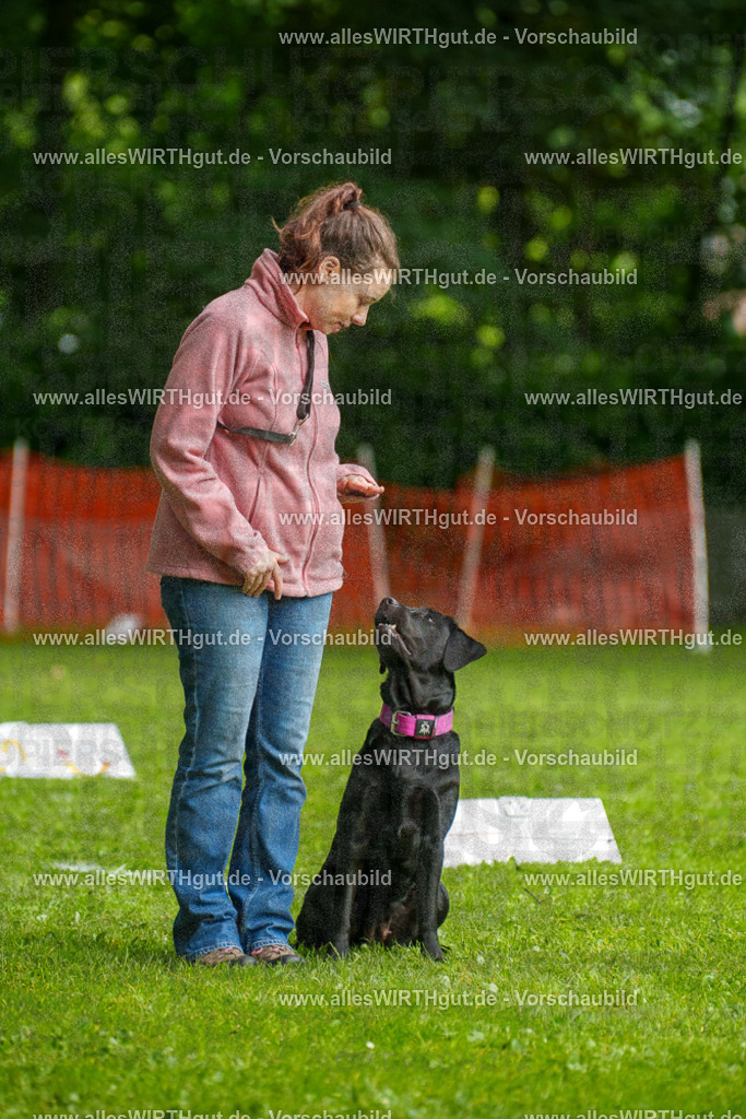 @allesWIRTHgut_Tierfotografie - www.allesWIRTHgut.de - 7R503148 | Professionelle Tierfotografie in Mönchengladbach von Daniel Wirth (allesWIRTHgut). Liebevolle & natürliche Bilder von Hunden & Katzen für unvergessliche Erinnerungen.