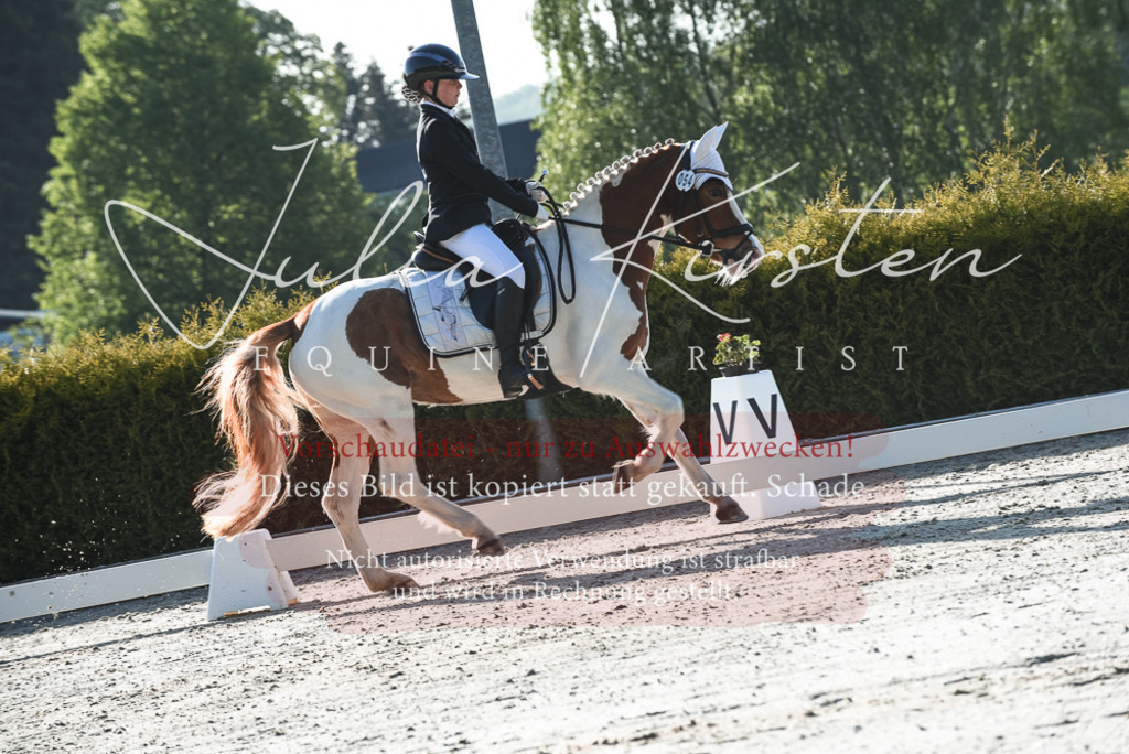 20230518_JK-Röhrsdorf-09-0311 | Pferde- und Turnierfotografie in Westsachsen. Pferdeportraits, Auftragszeichnungen und intuitive Kunst.