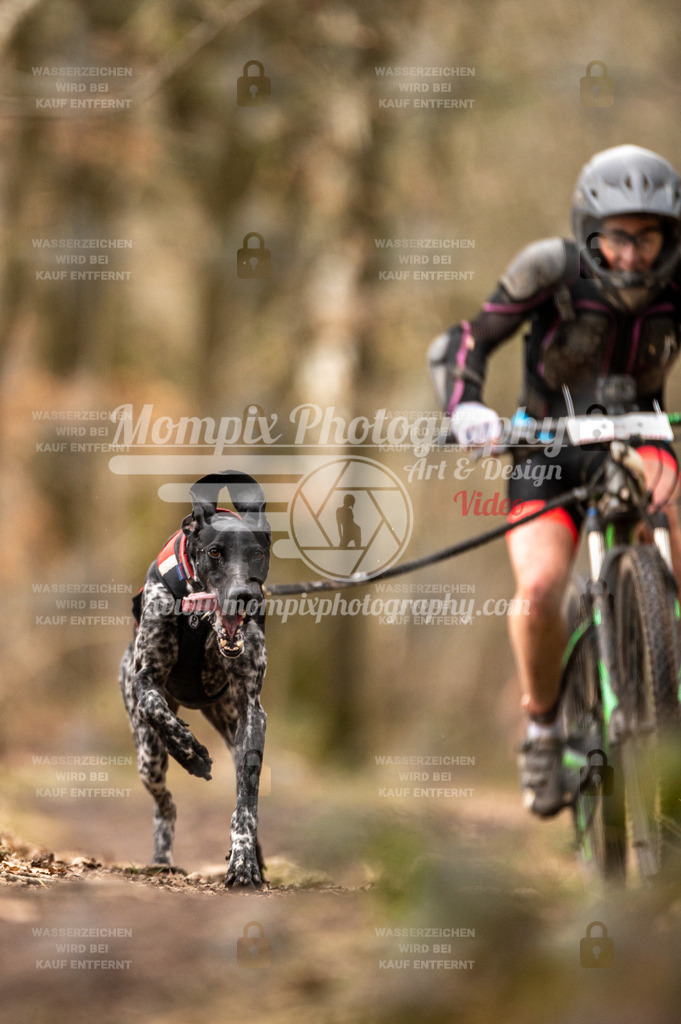 SPA_2023_SAM_Bike-26 | mompixphotography