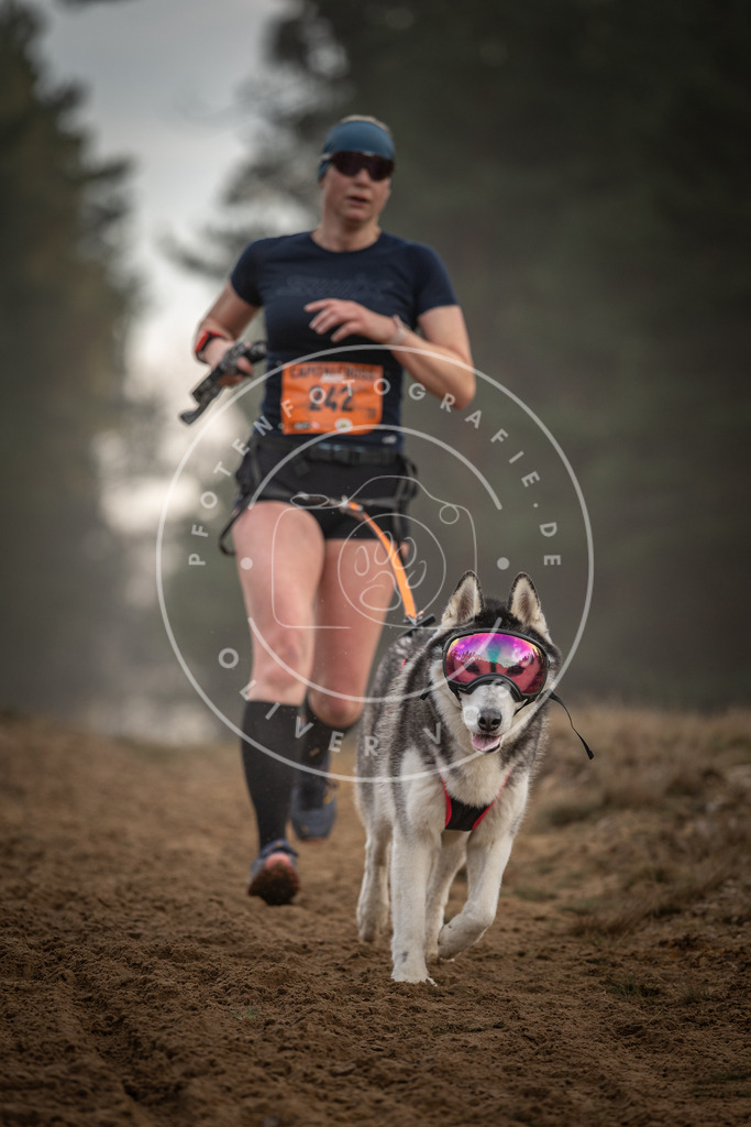 Pfotenfotografie_DV3A5810 | Hundefotografie, Tierfotograf, Pfotenfotografie, Fotoshooting Hund, Hunde Portrait, Hundesport, Hundeportraits, Heideshooting, Hunde, Sportfotograf, Hundefotograf, Turnierhundsport, THS,  - Realisiert mit Pictrs.com