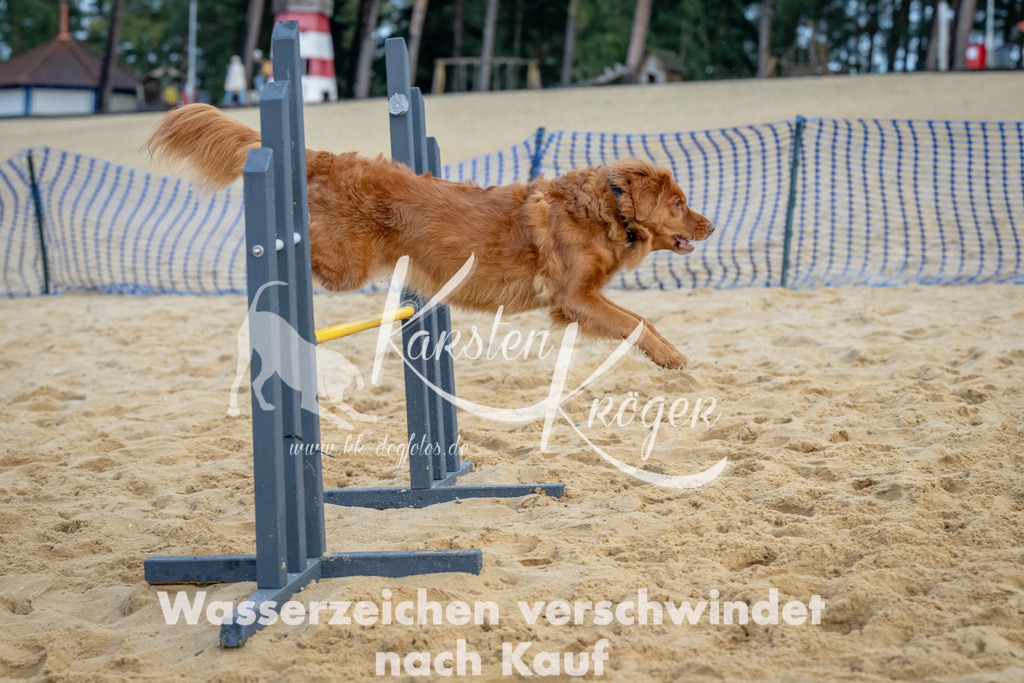 0911_ZZ91966 | kk-dogfotos