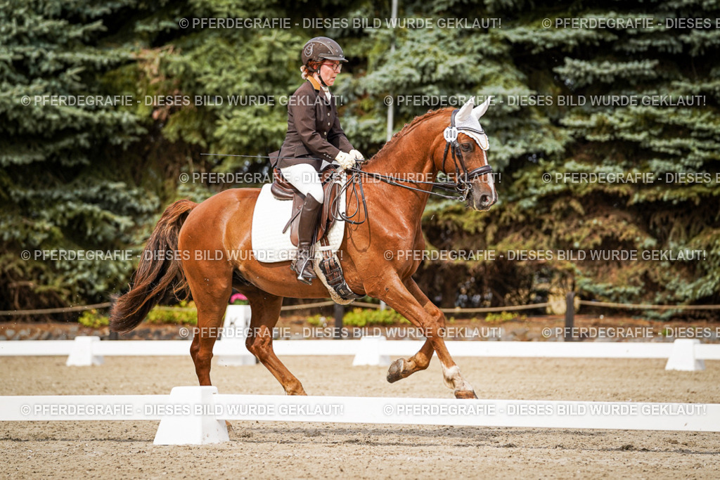 DSC06060 | Pferdegrafie