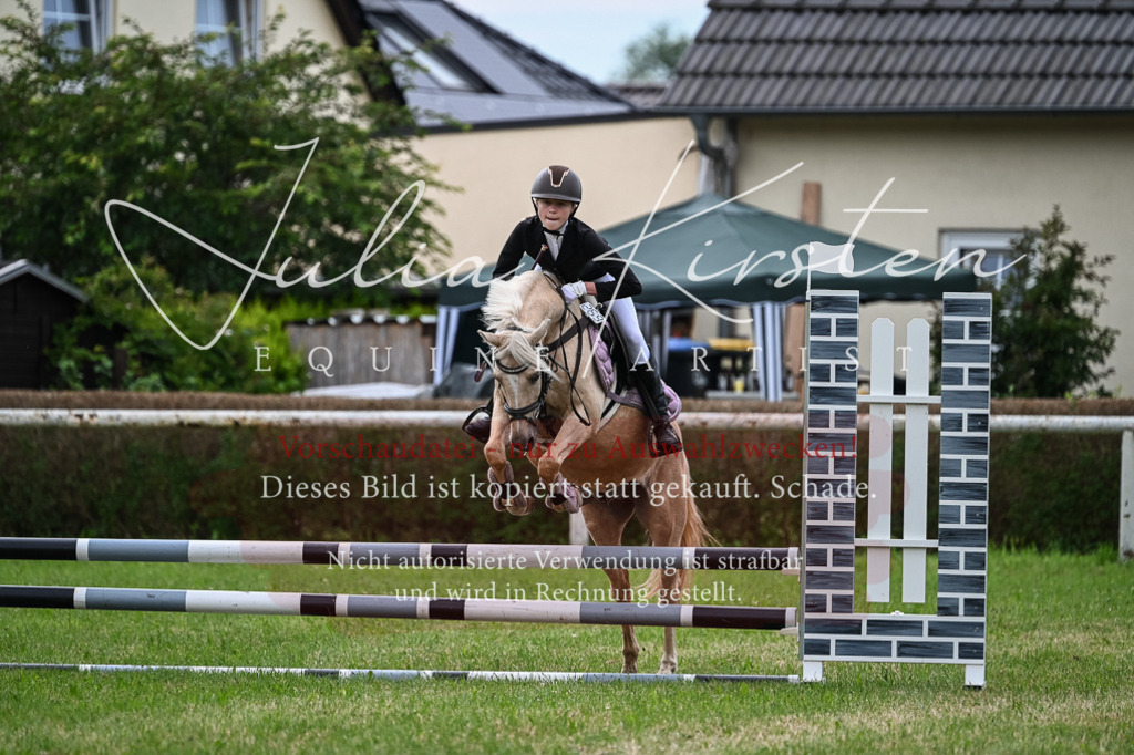DSC_8603 | Pferde- und Turnierfotografie in Westsachsen. Pferdeportraits, Auftragszeichnungen und intuitive Kunst.