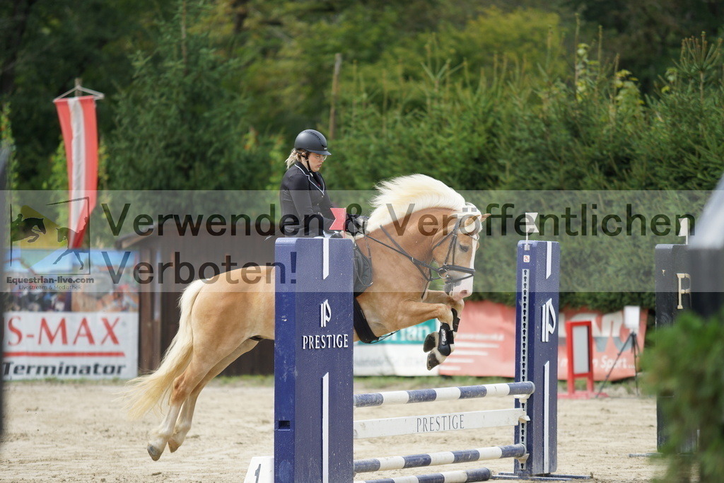 DSC03353 | equestrian-live-com