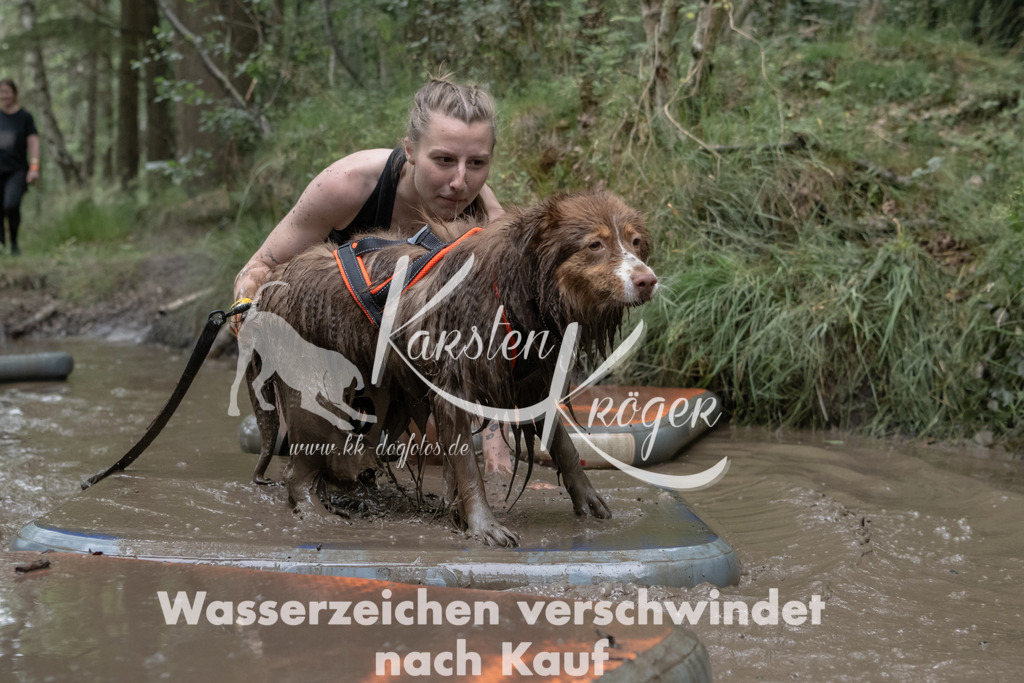 1321_ZZ93587 | kk-dogfotos