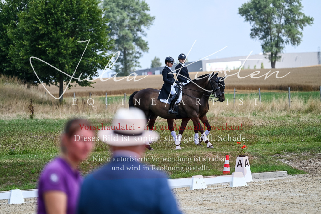 DSC_2637 | Pferde- und Turnierfotografie in Westsachsen. Pferdeportraits, Auftragszeichnungen und intuitive Kunst.