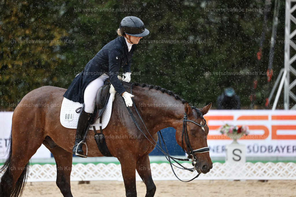 8_1-001-Klasse S_  -StoibPH-3977 | working equitationturnier fotograf videograf stoibphotography marixx film working equitation deutschland reitsport turnierfotografie eventfotografie equestrian events